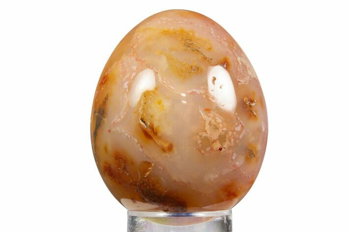 Vibrant Polished Carnelian Agate Egg - Madagascar #331754